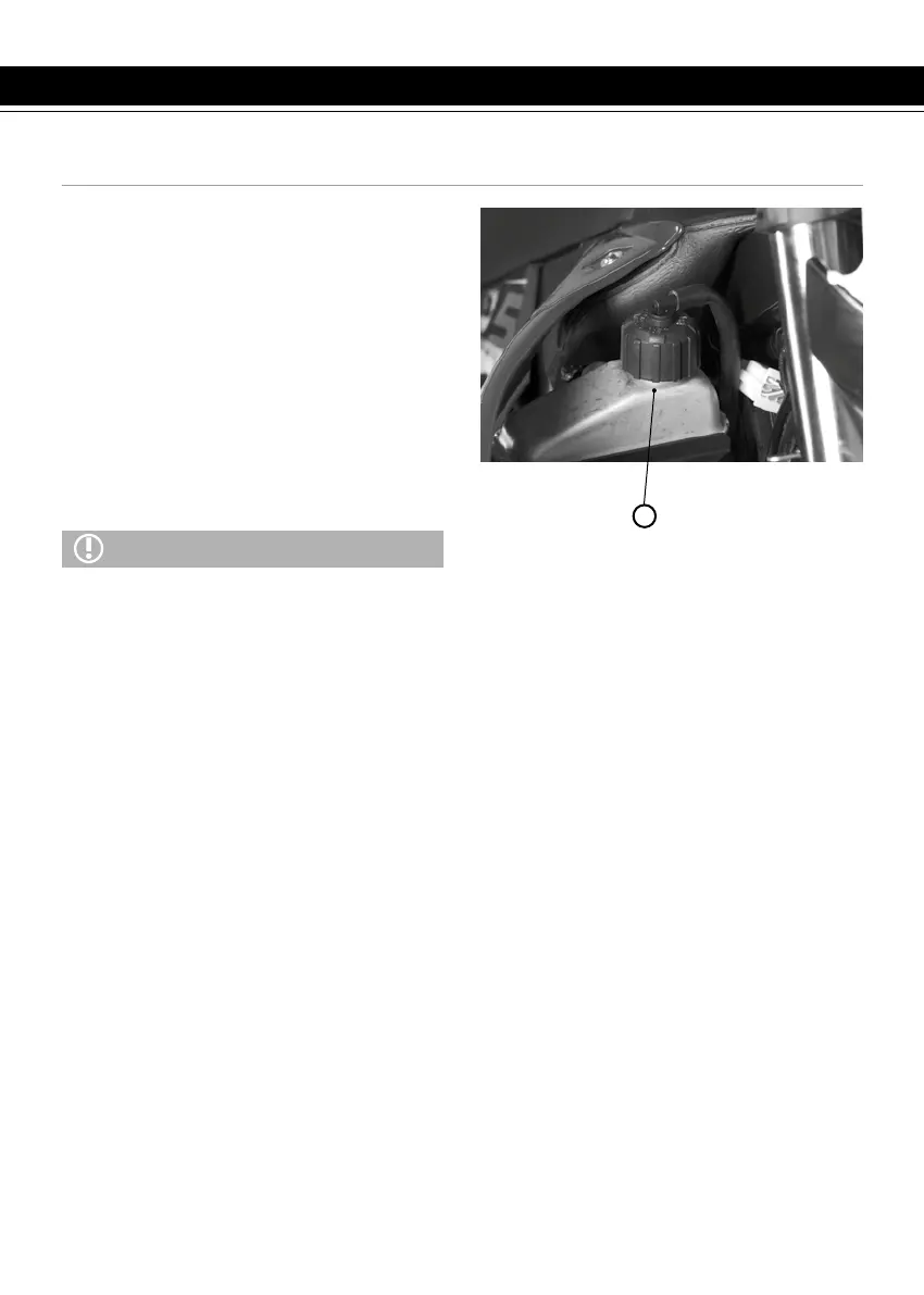 Page #125 background image