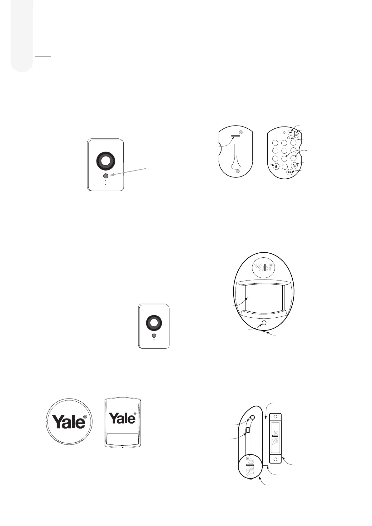 Page #4 background image