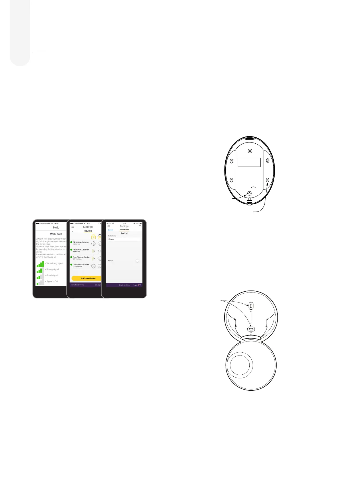 Page #8 background image