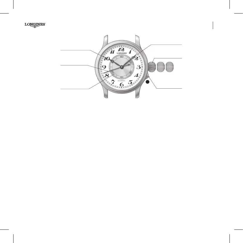 Page #319 background image
