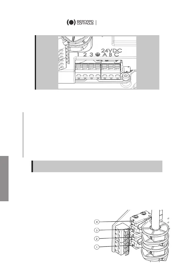 Page #42 background image