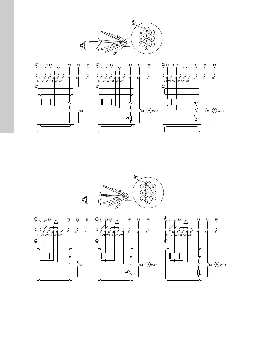 Page #12 background image