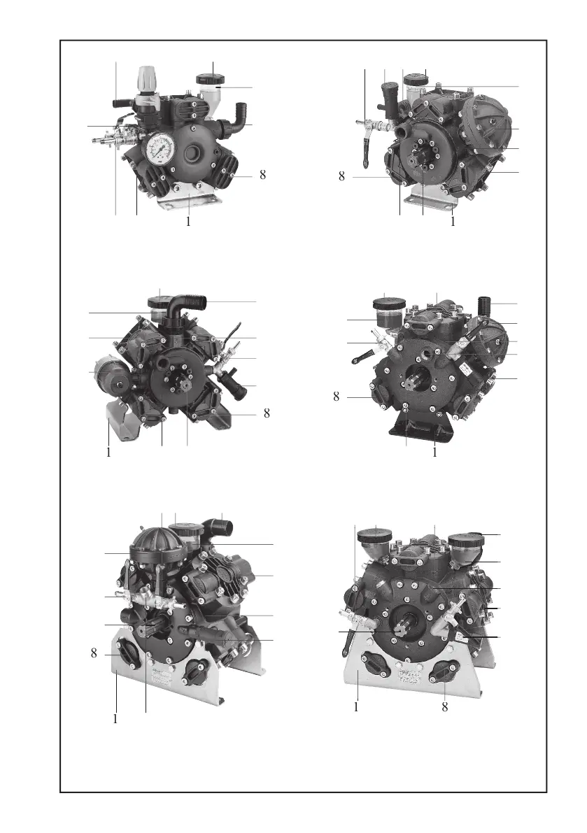Page #4 background image
