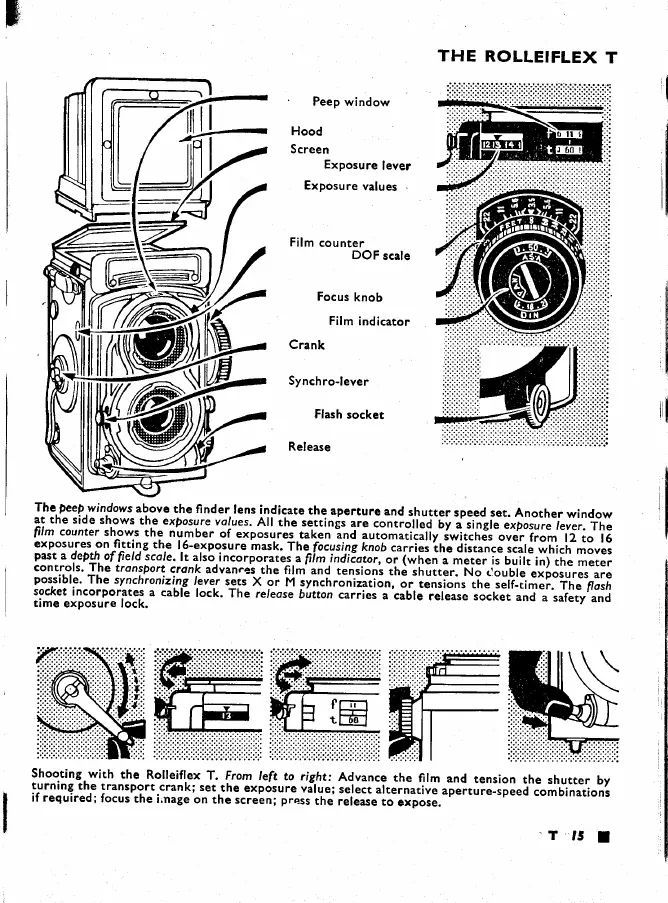 Page #15 background image