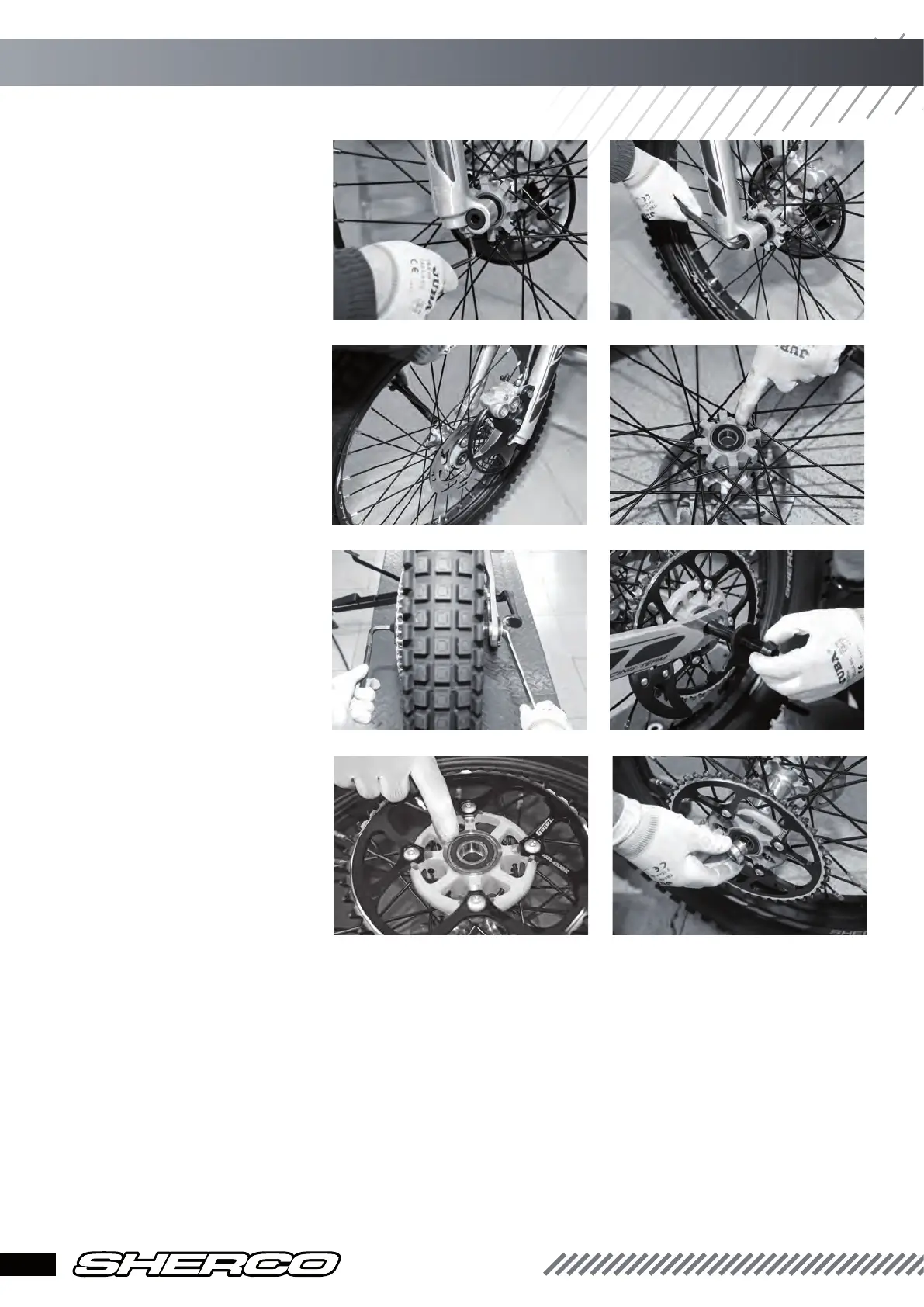 Page #8 background image