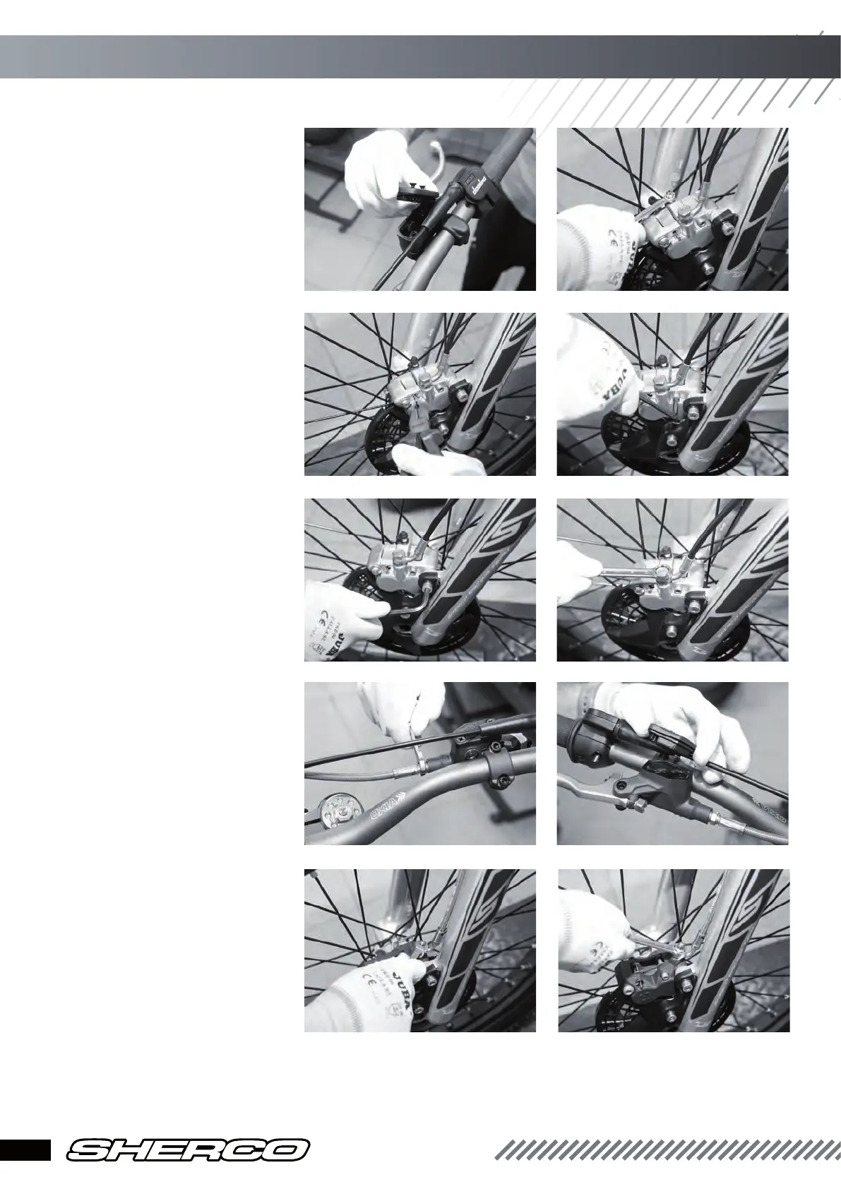 Page #10 background image