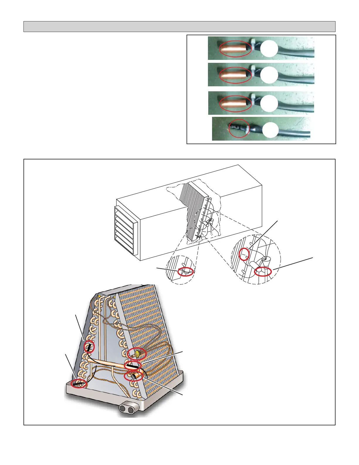 Page #22 background image