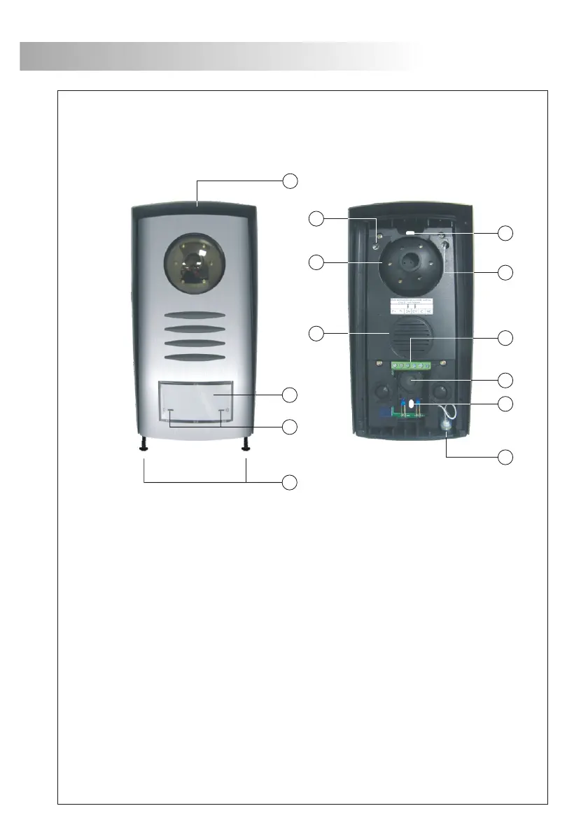 Page #4 background image
