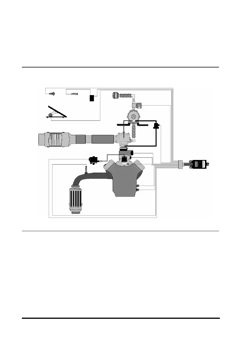 Page #70 background image