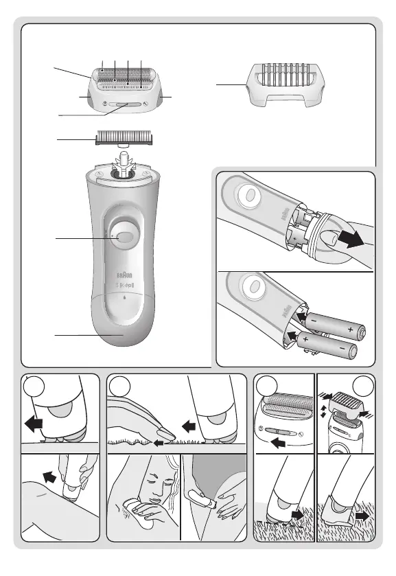 Page #3 background image