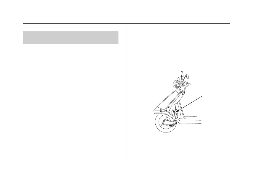 Page #161 background image