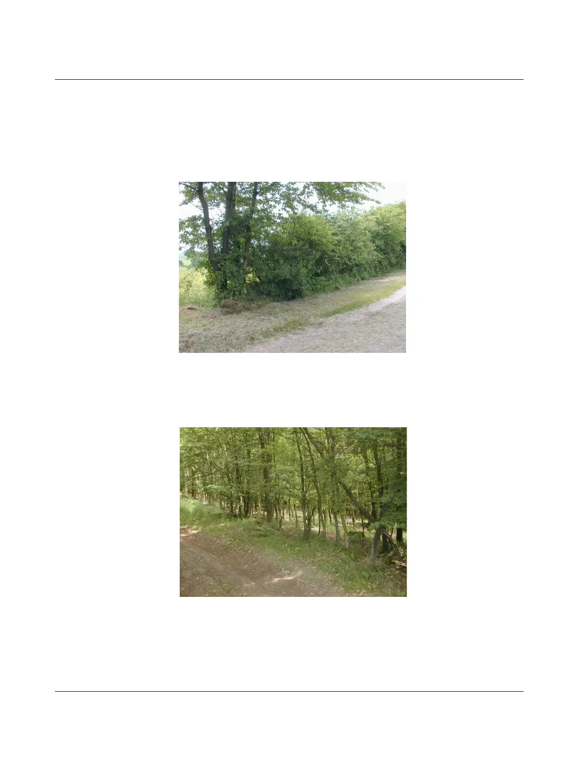 Page #149 background image