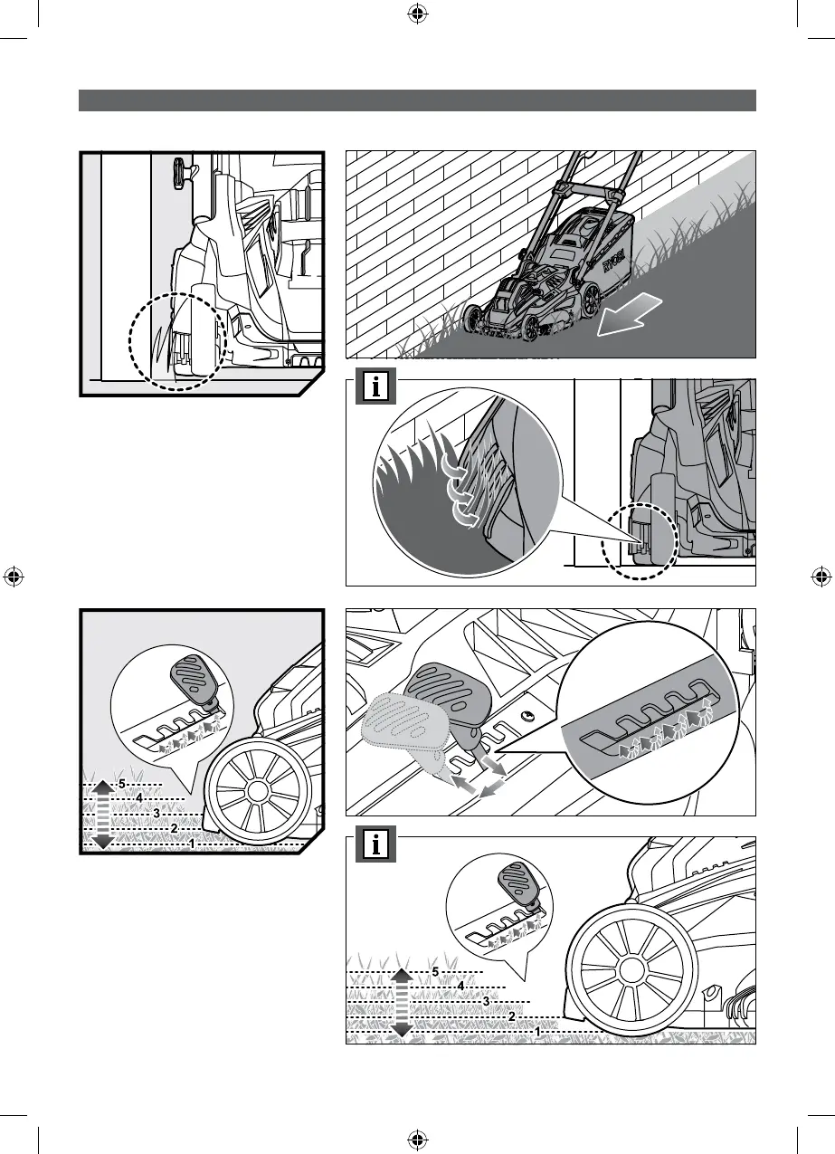 Page #19 background image