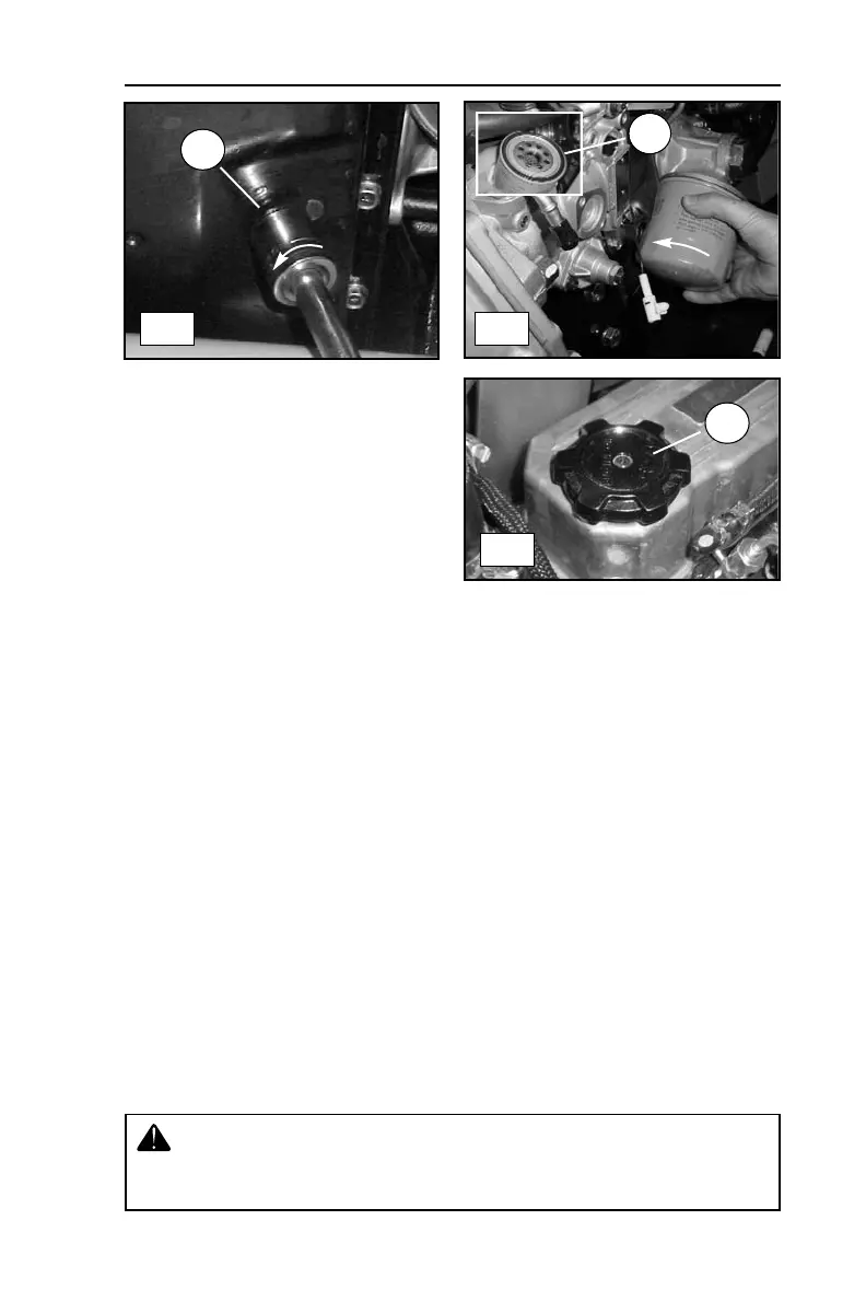 Page #71 background image