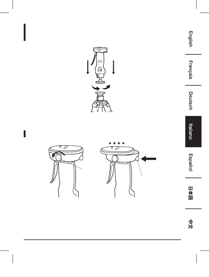Page #33 background image