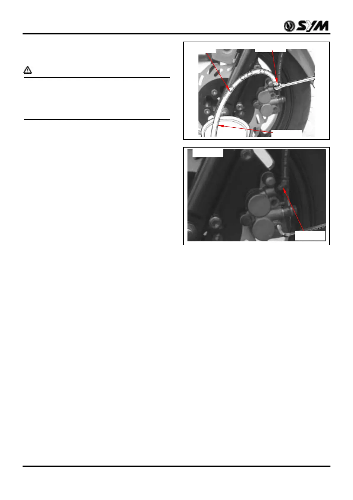 Page #41 background image
