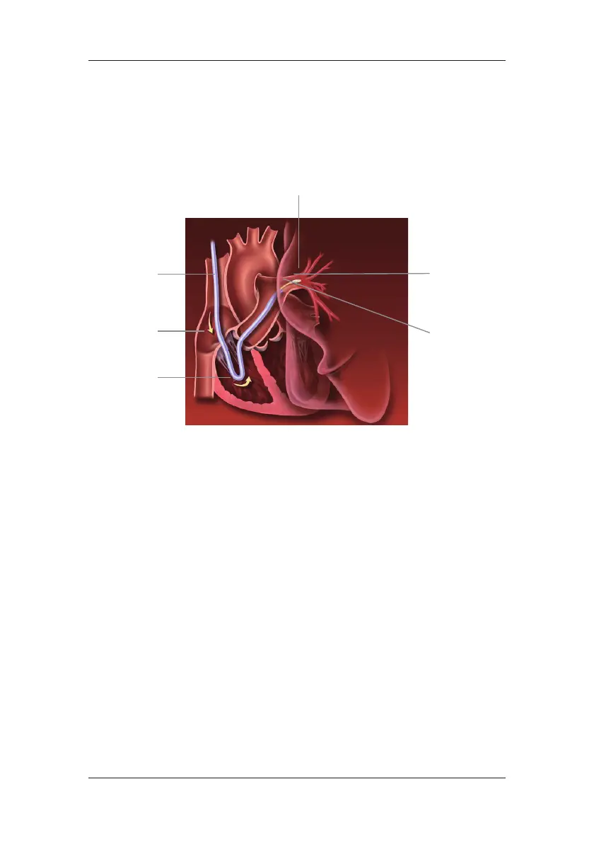 Page #156 background image