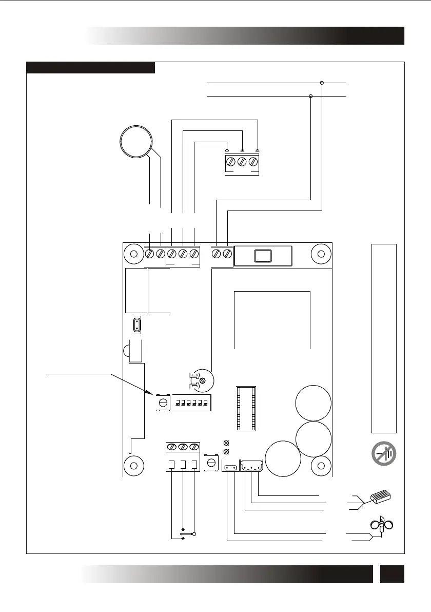 Page #19 background image