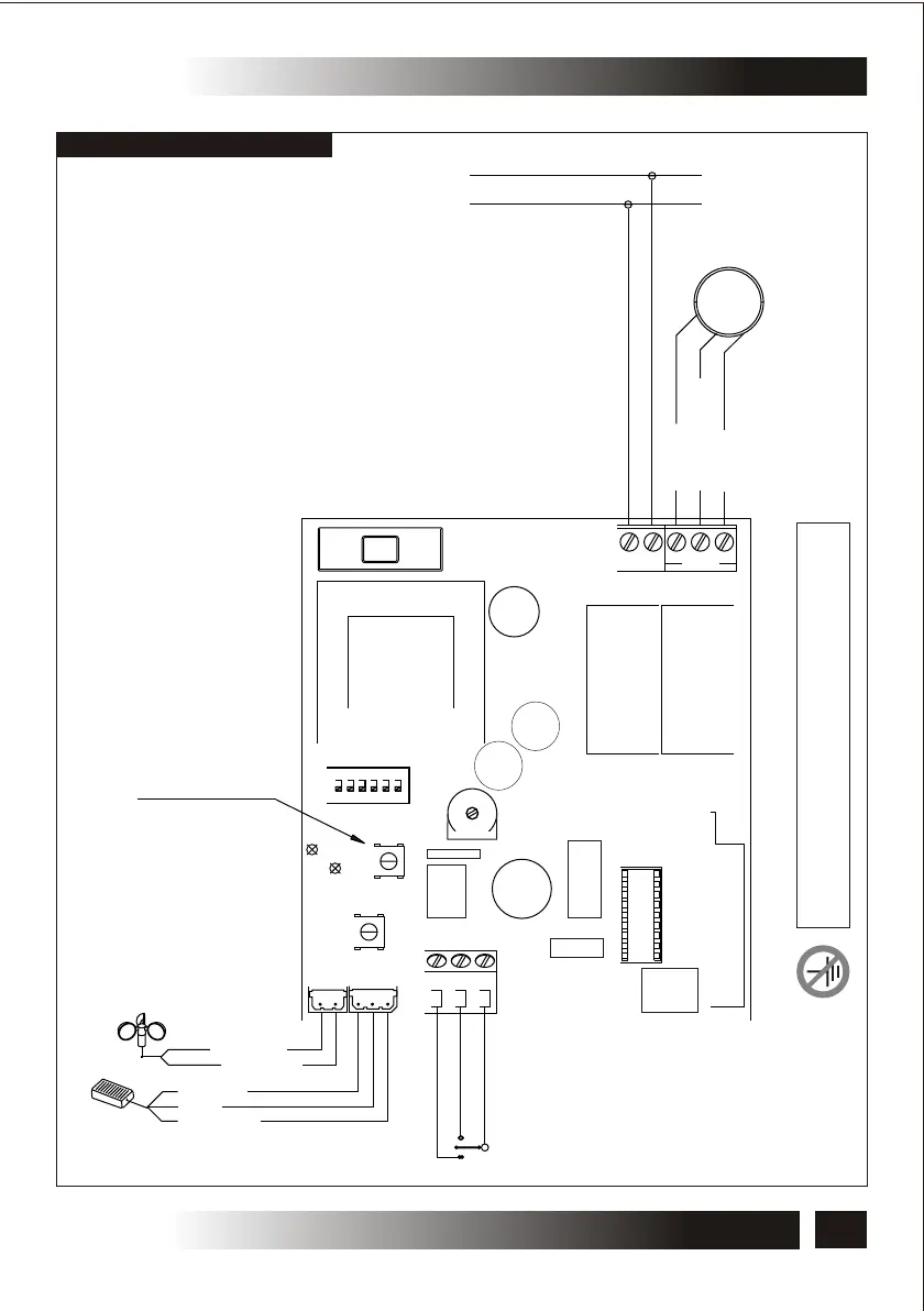Page #21 background image