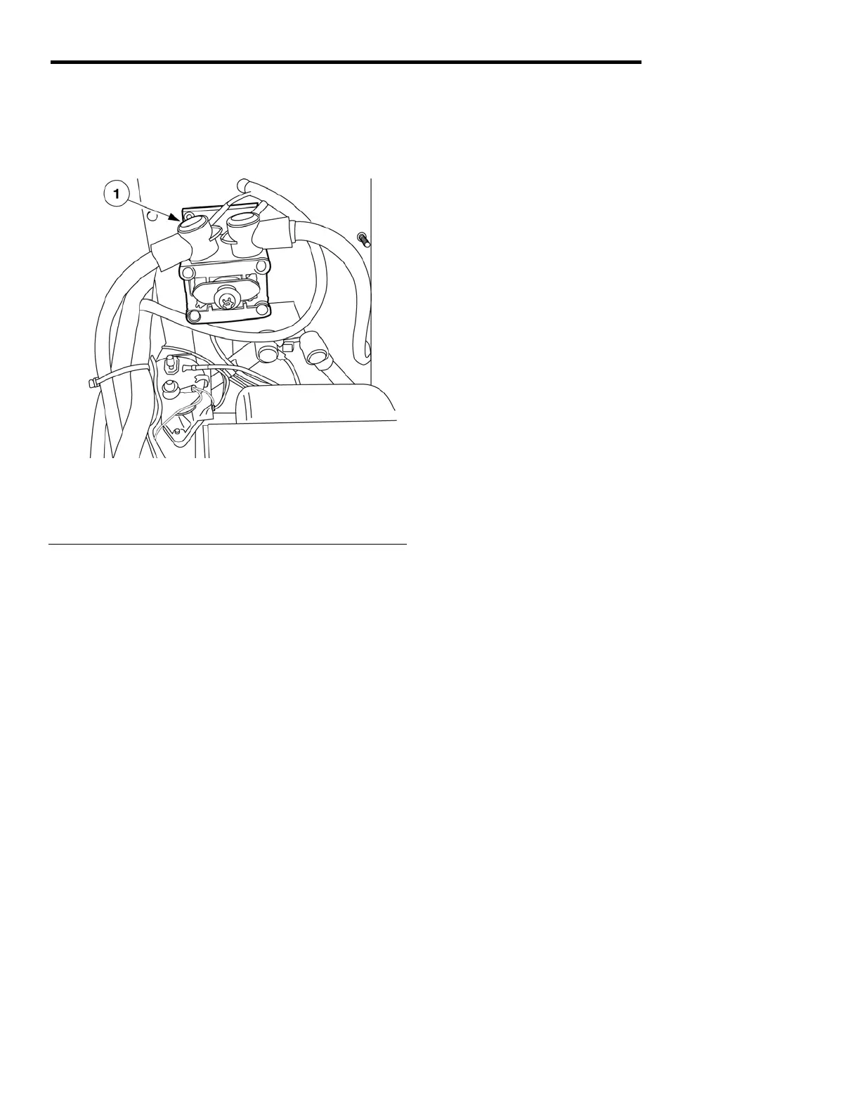 Page #81 background image