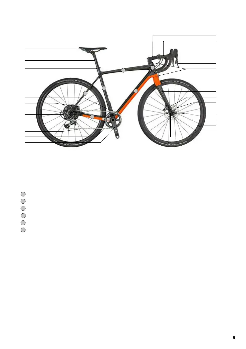 Page #5 background image
