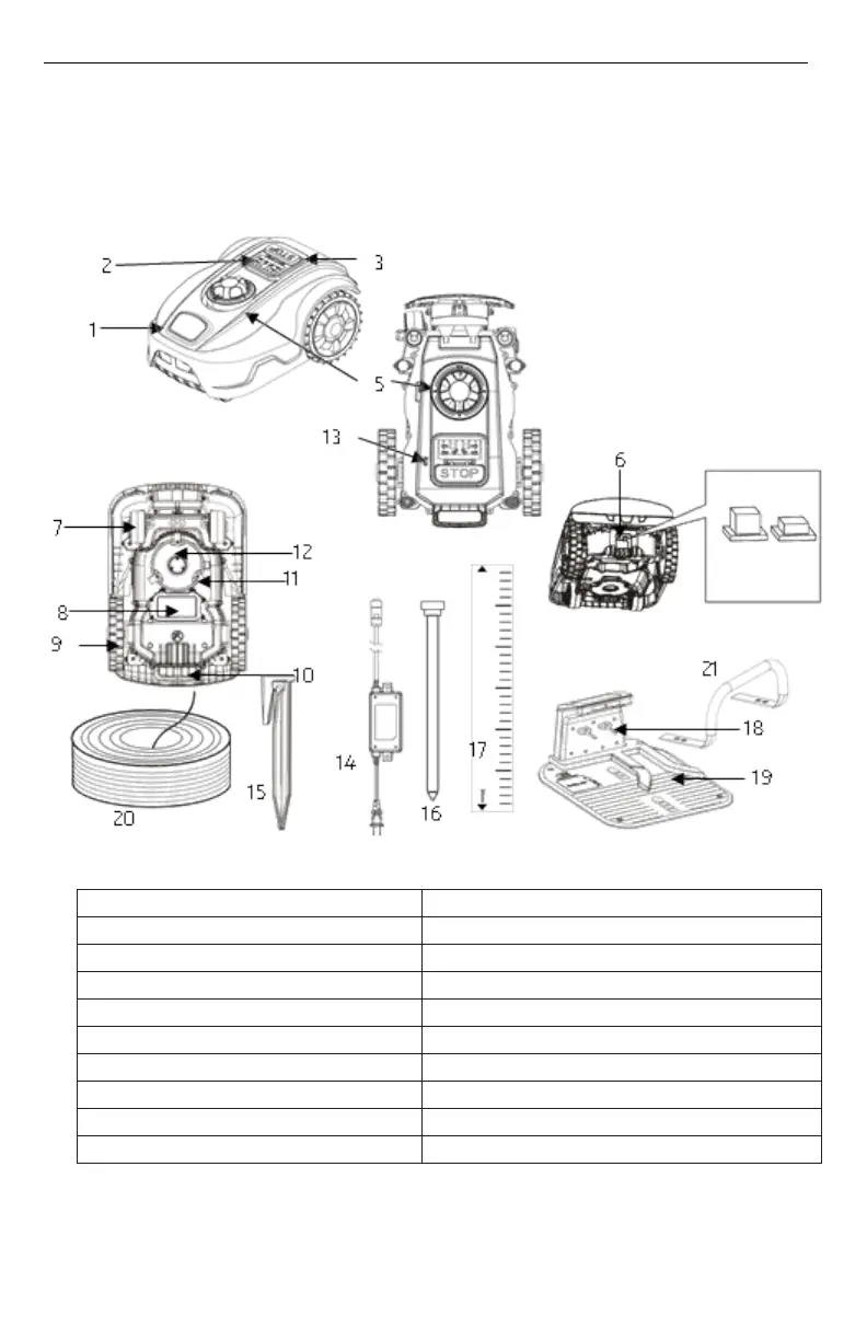 Page #10 background image