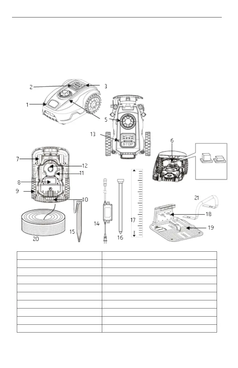 Page #229 background image