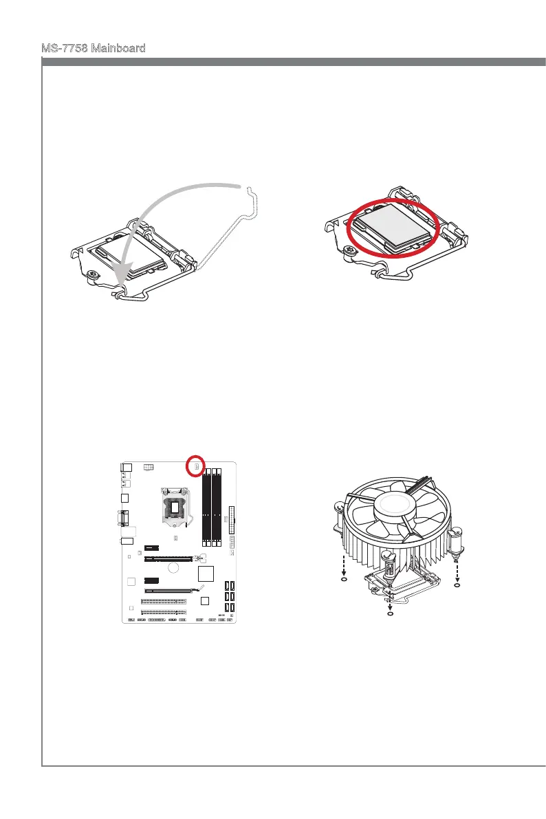 Page #21 background image