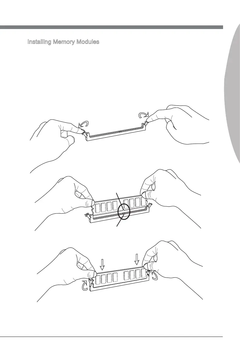 Page #26 background image