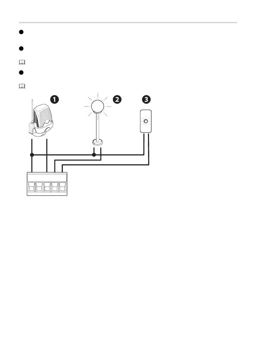 Page #20 background image