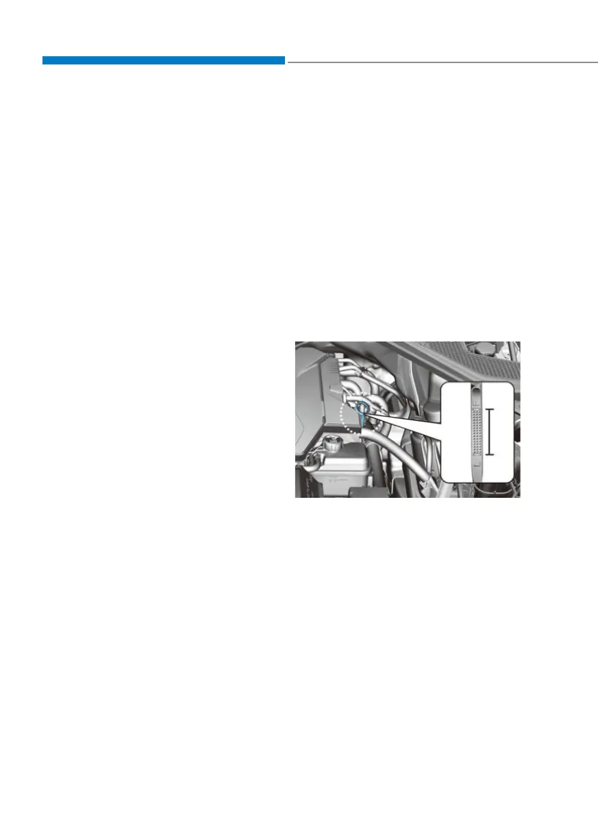 Page #566 background image