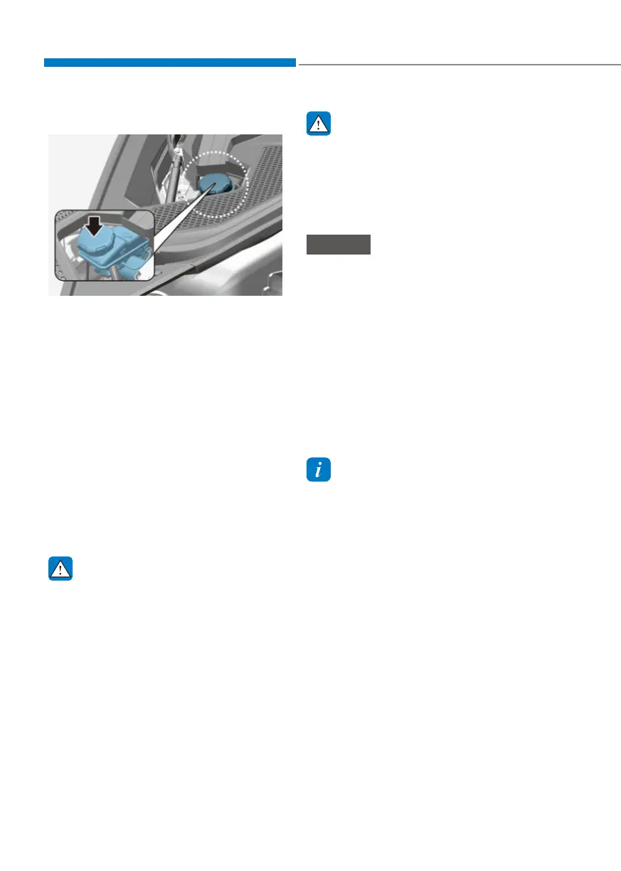 Page #572 background image