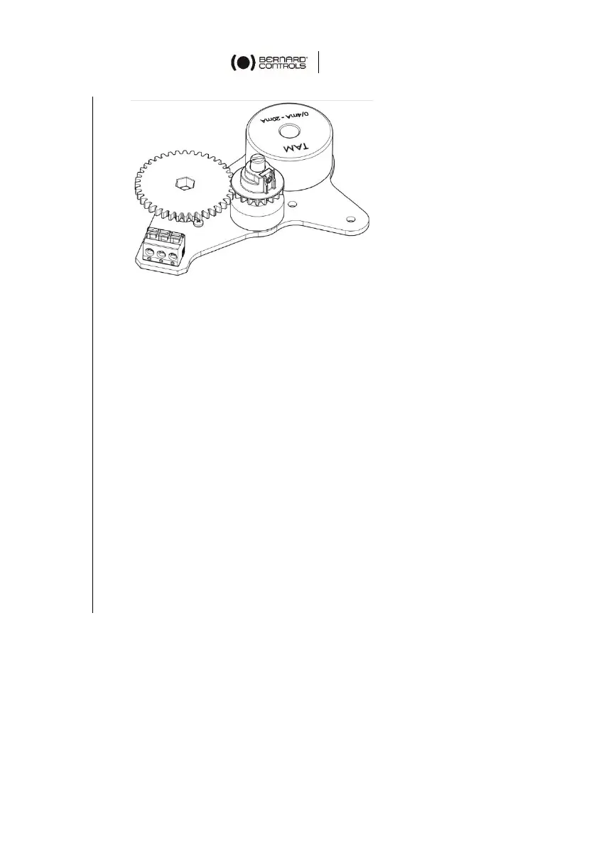 Page #24 background image
