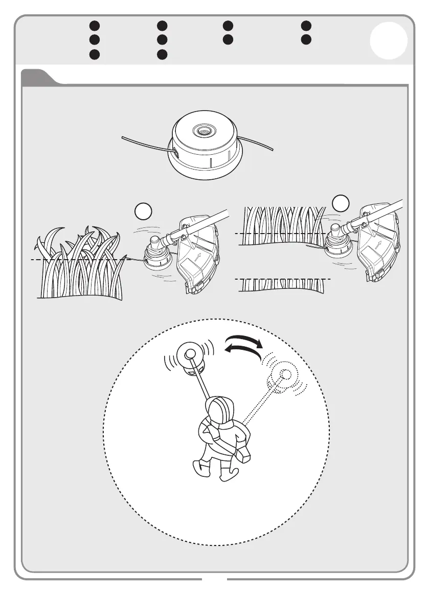 Page #31 background image