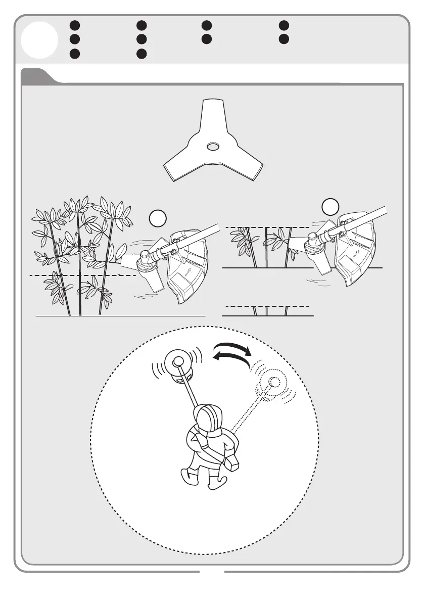 Page #32 background image