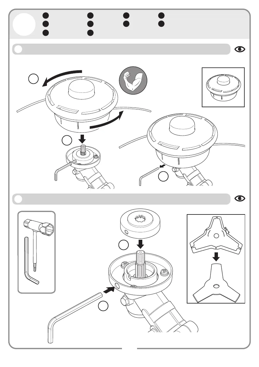 Page #8 background image
