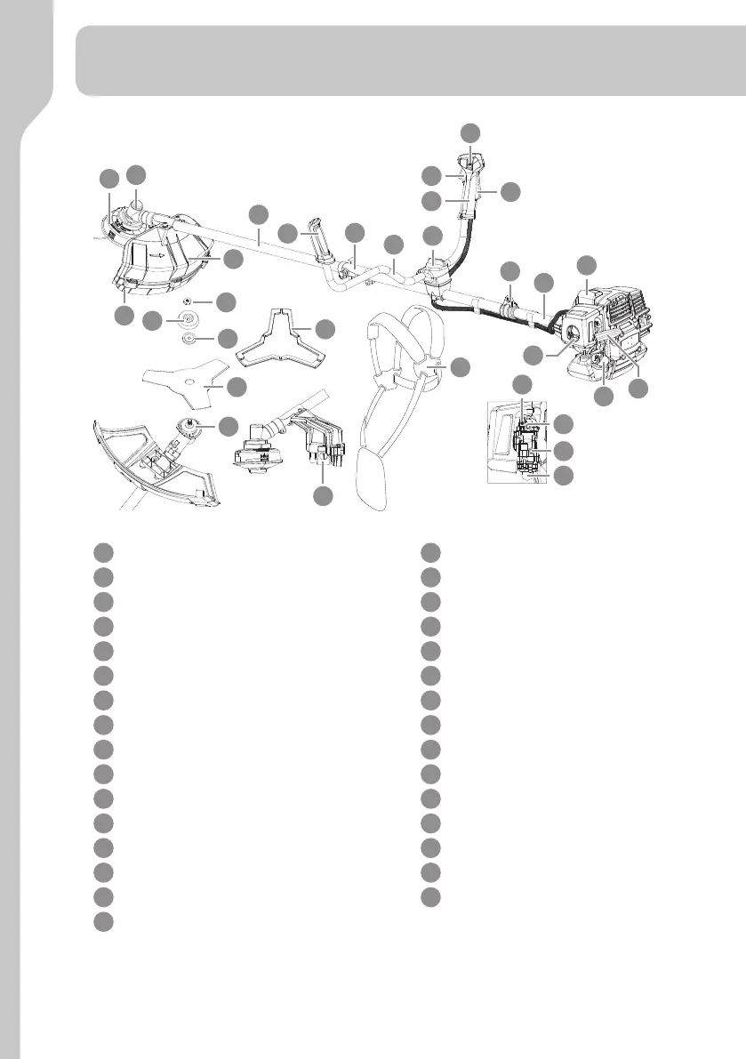 Page #20 background image