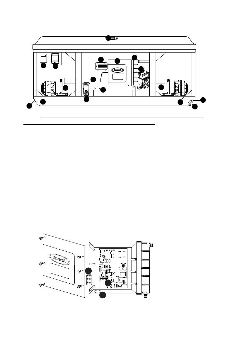 Page #20 background image