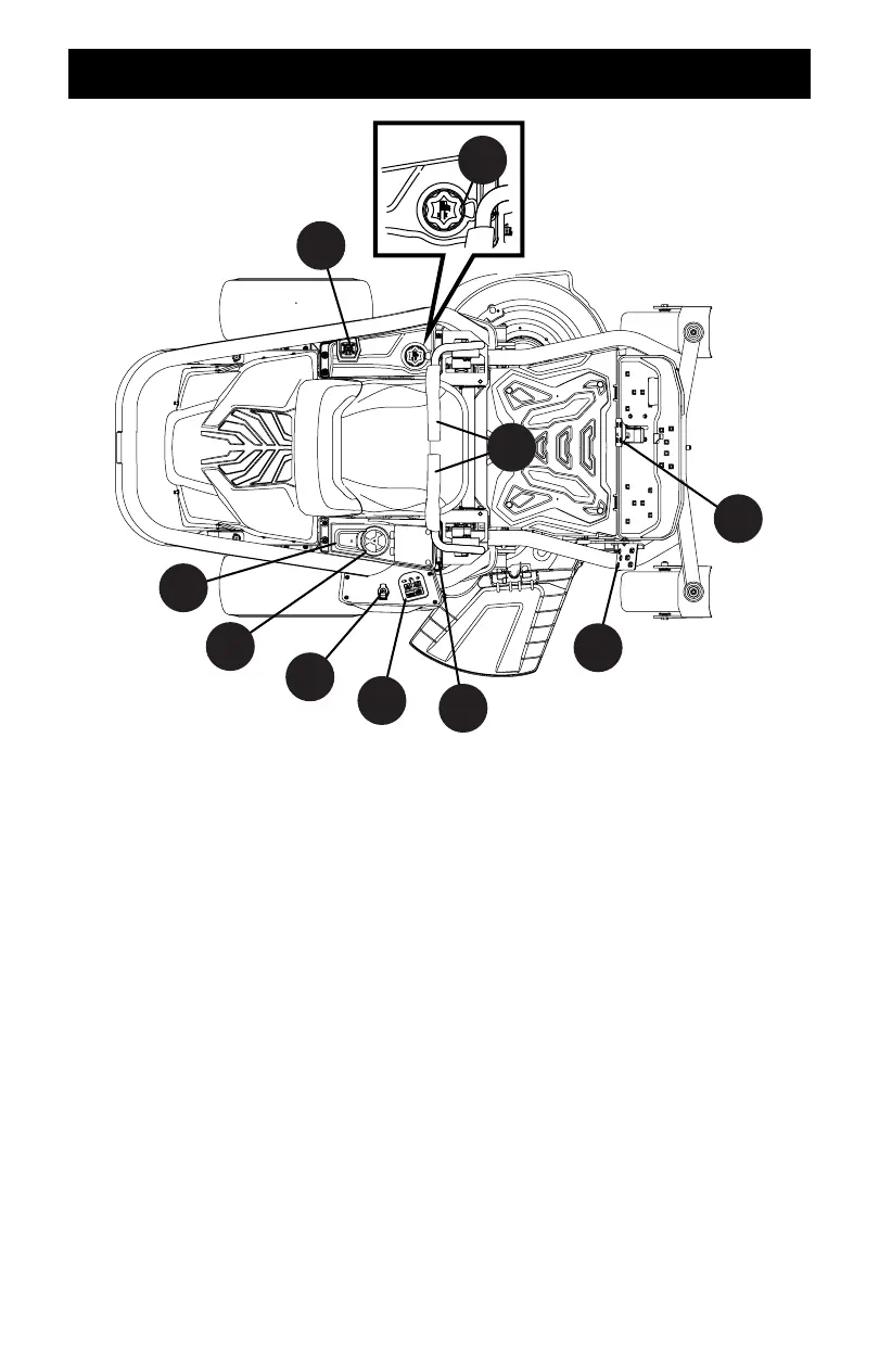Page #13 background image