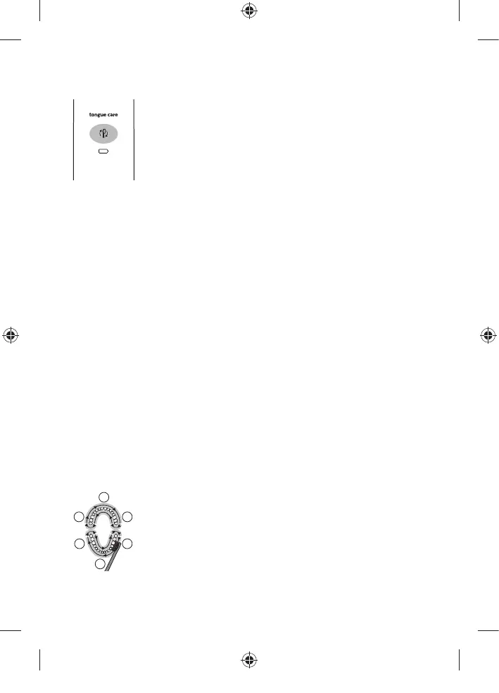 Page #19 background image