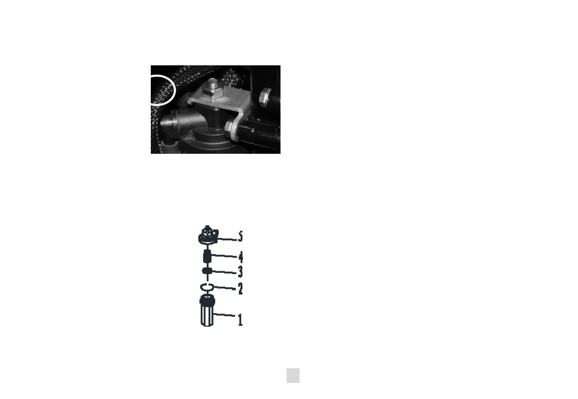 Page #43 background image