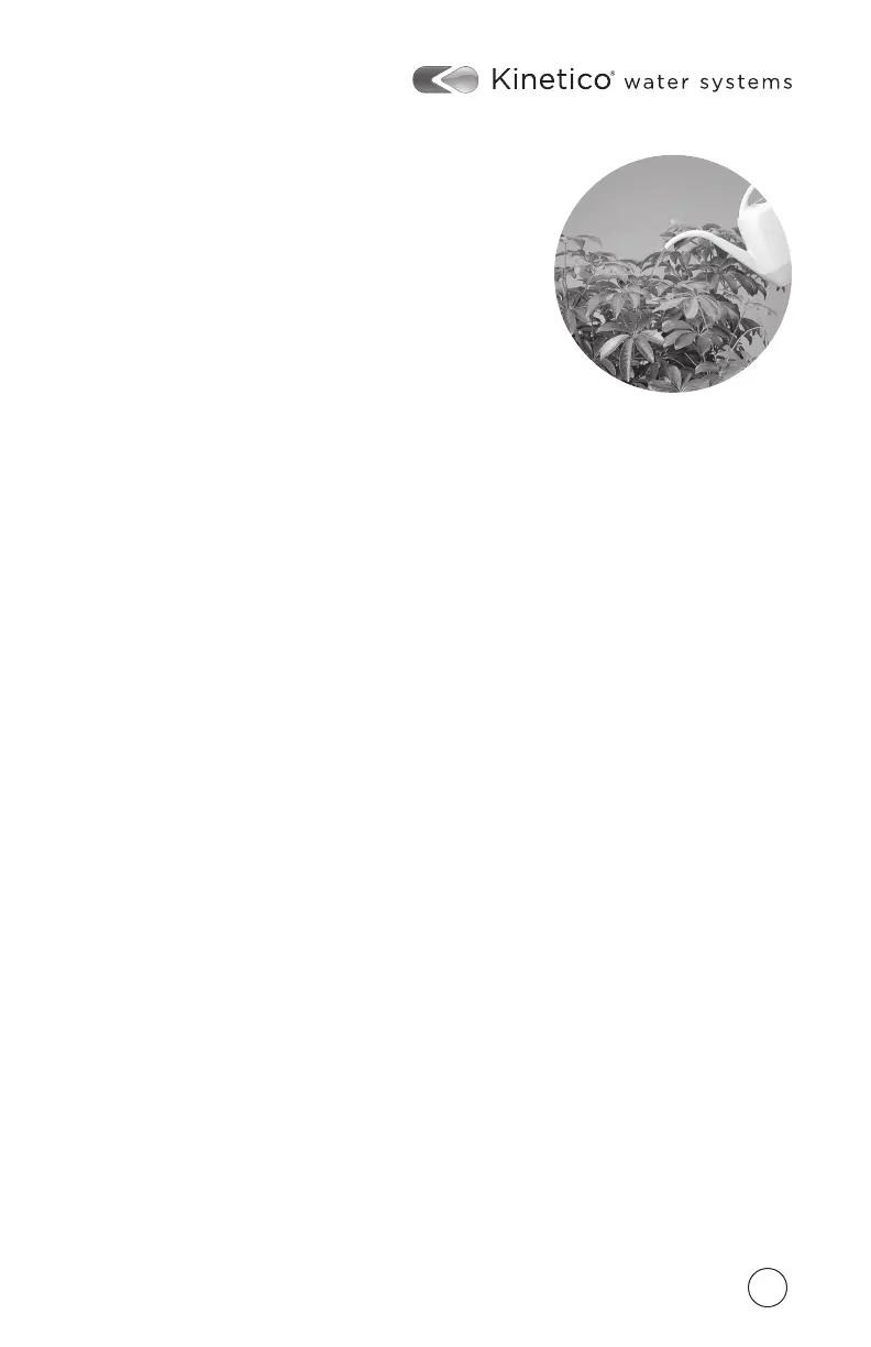 Page #49 background image