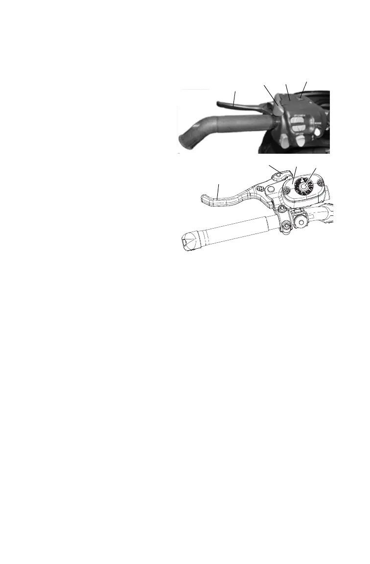 Page #56 background image