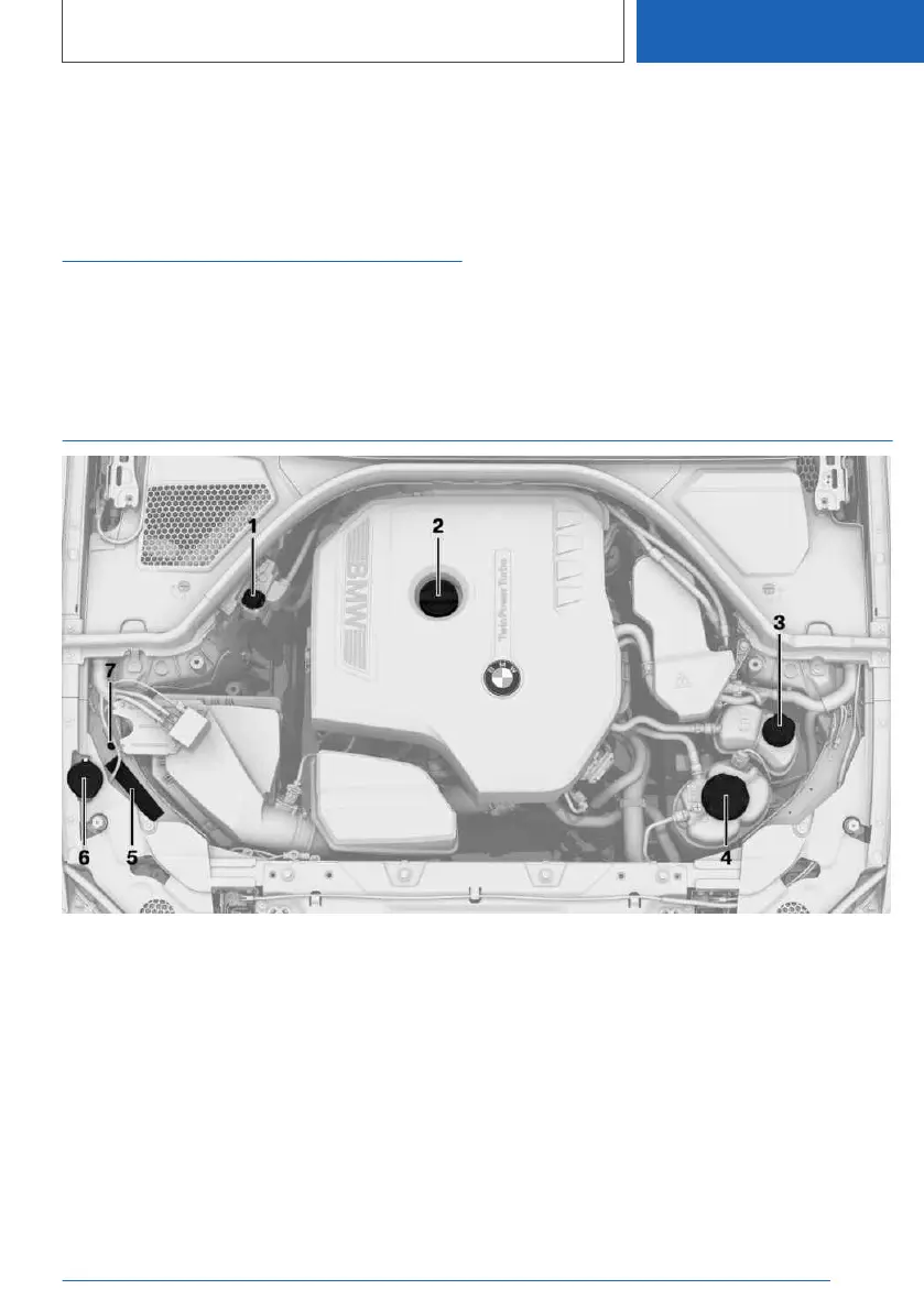 Page #347 background image