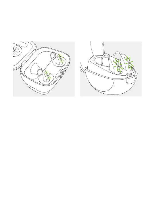 Page #19 background image