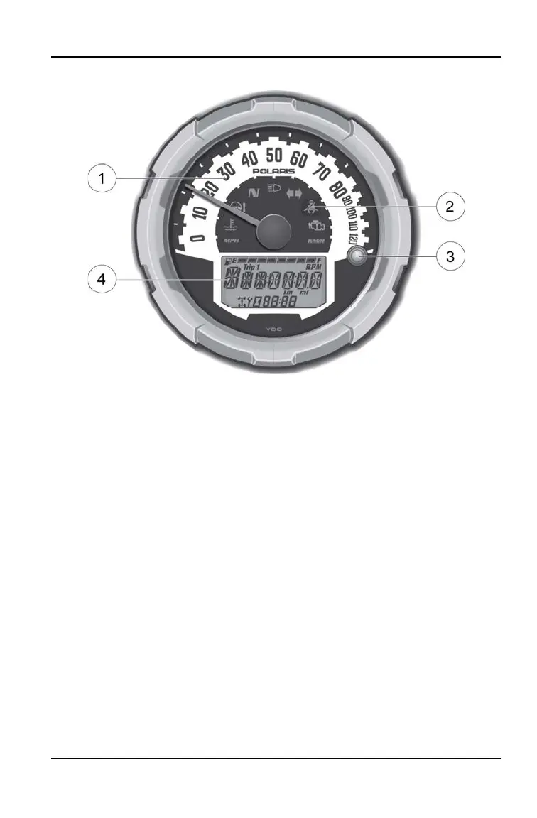 Page #45 background image
