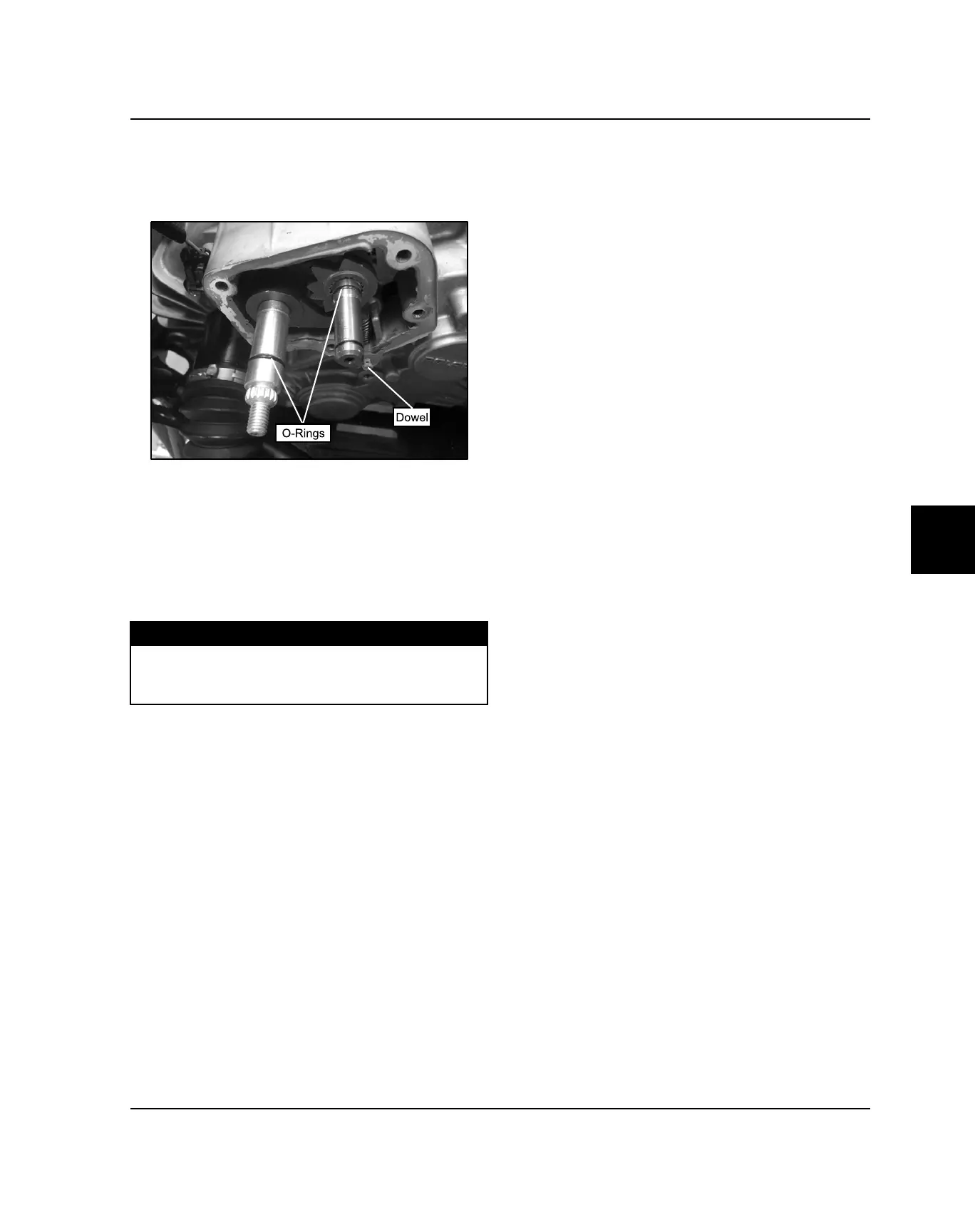 Page #301 background image