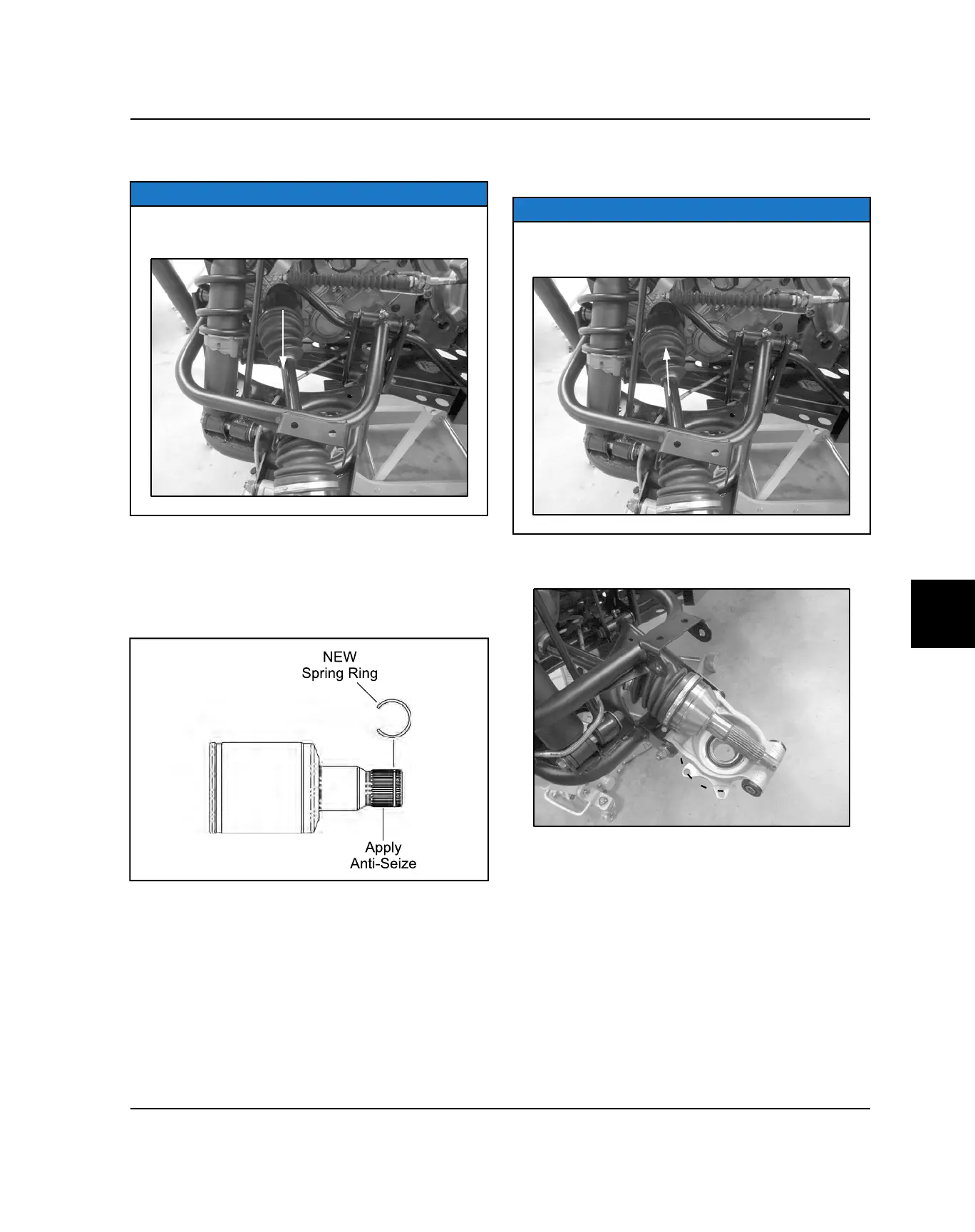 Page #313 background image