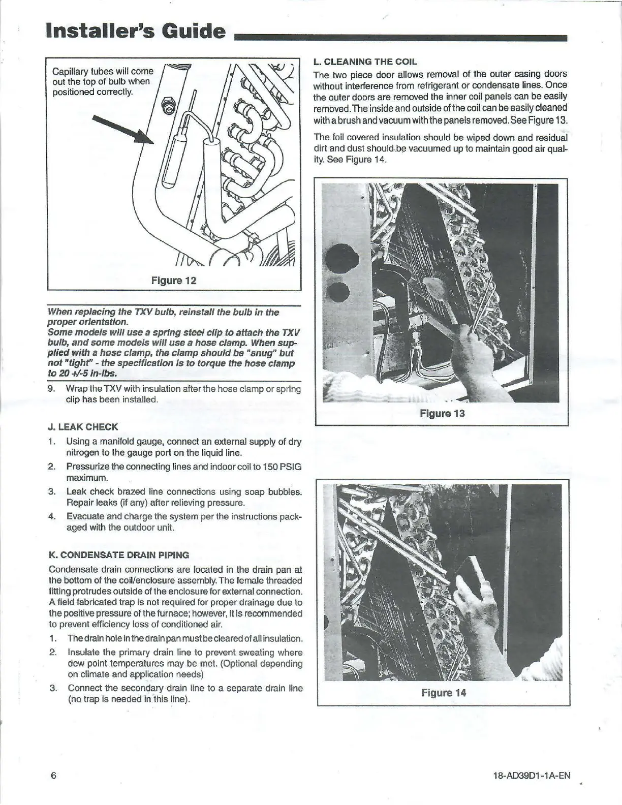 Page #6 background image