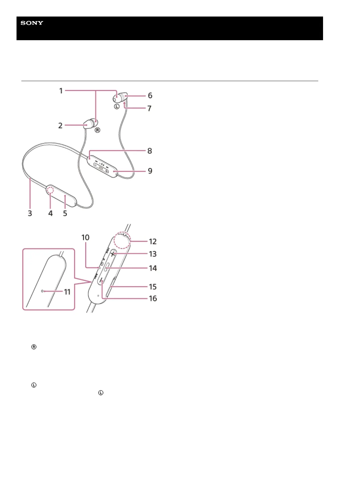 Page #11 background image